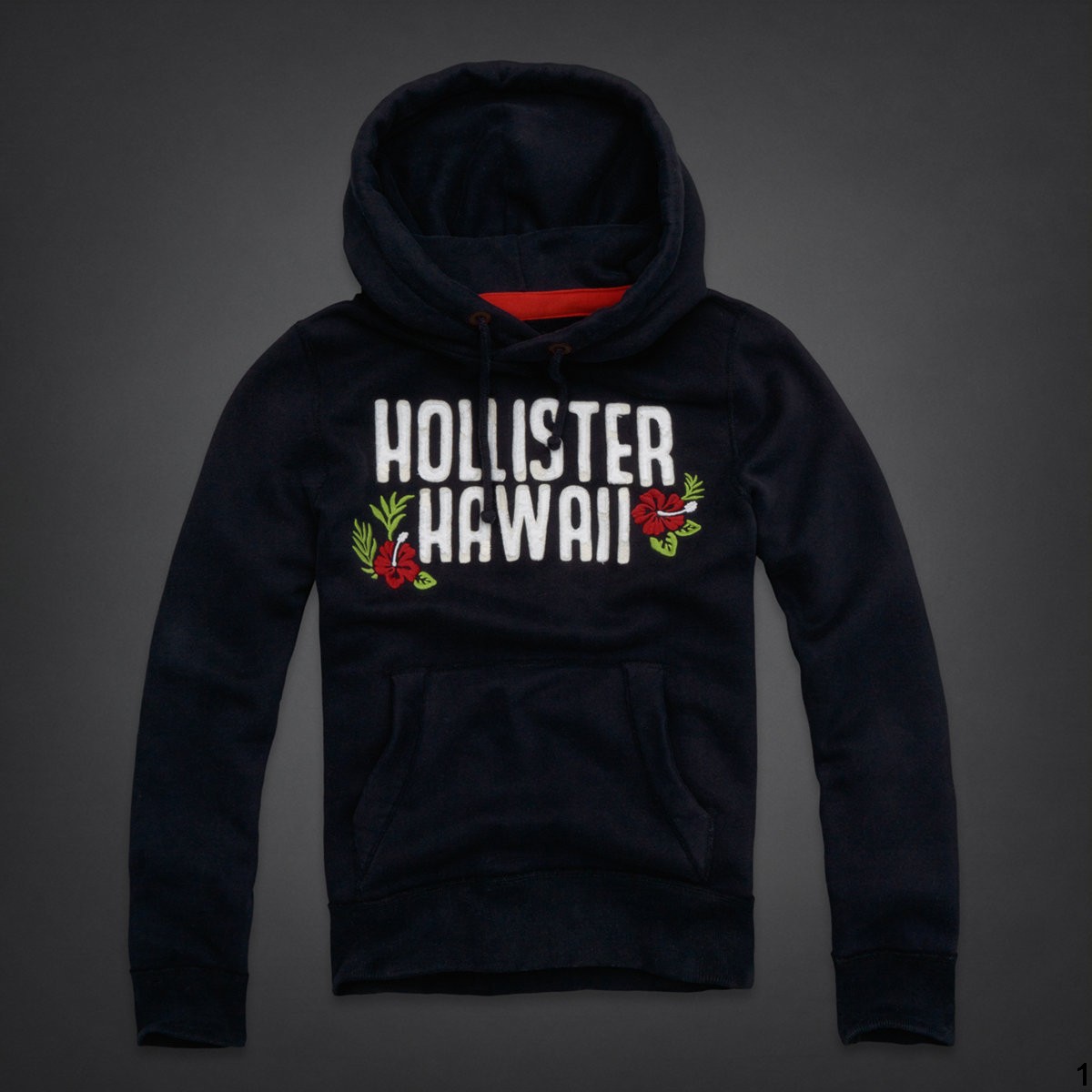 Hollister Hombres Outlet Capucha HCO4628